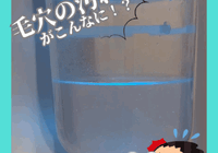 毛穴