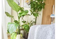 太田市フェイシャルエステ